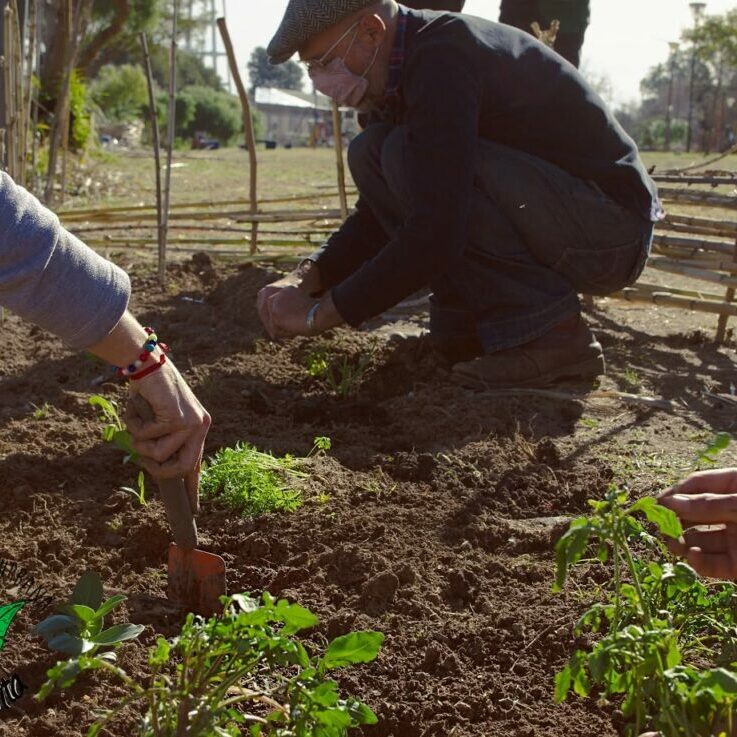 huerta biopreparados